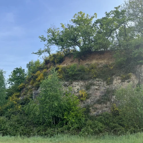 carrière 2