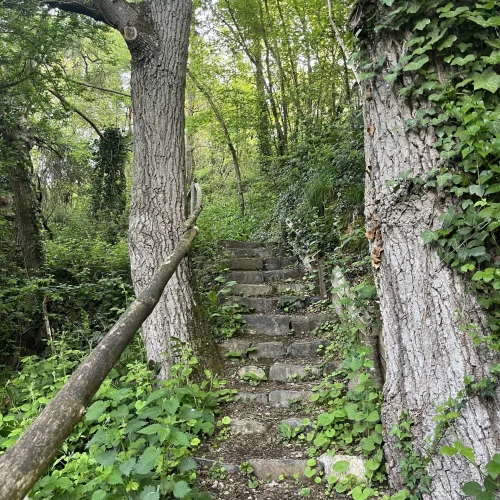 carrière 3
